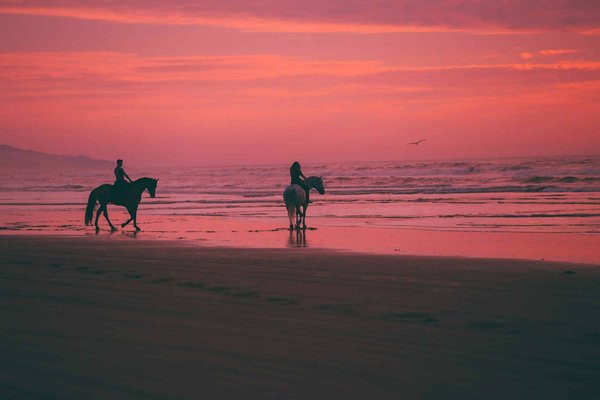 Quels gîtes en Bretagne proposent des balades à cheval sur la plage?